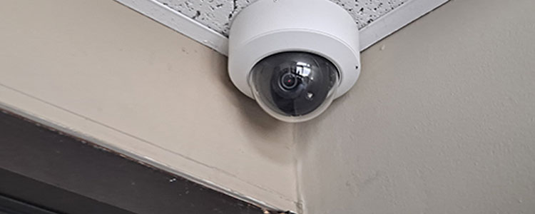 Dome cameras for discreetly securing businesses