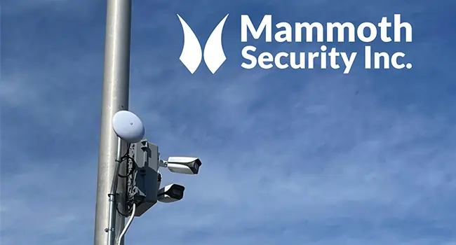 outdoor security cameras and point-to-point antenna with Mammoth Security logo