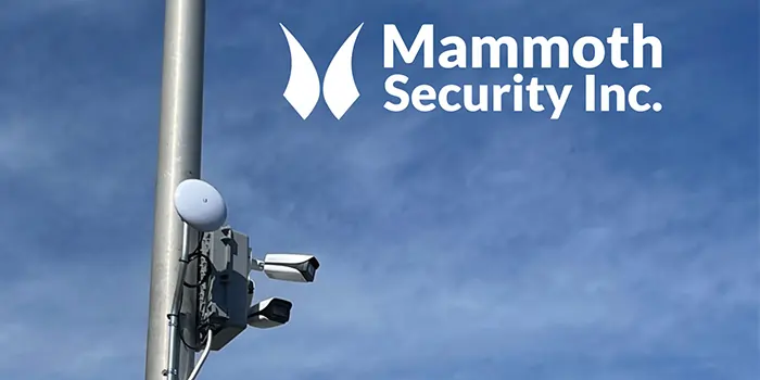 Mammoth Security logo and outdoor bullet cameras on a pole